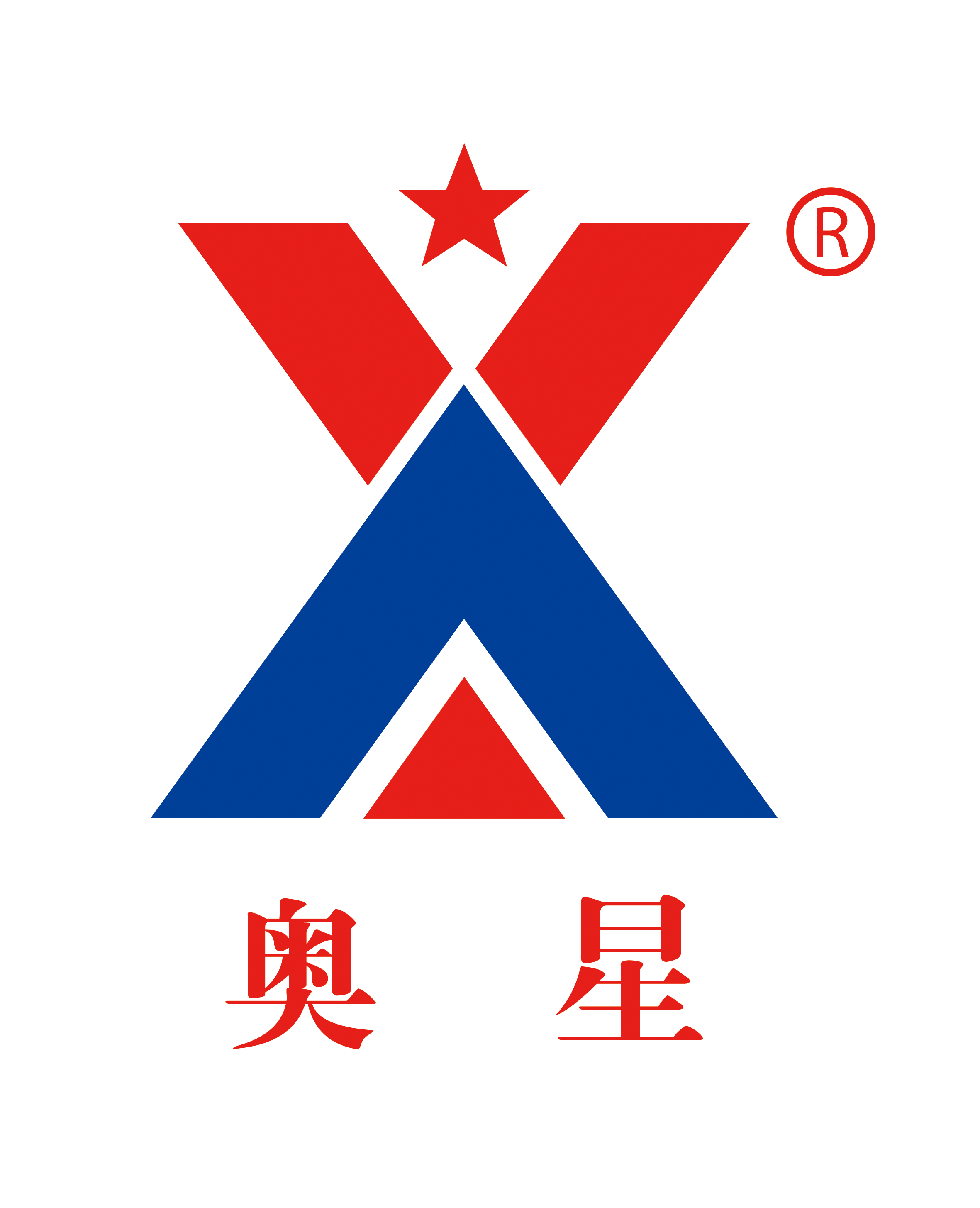 Shandong Aoxing New Material Co., Ltd._logo